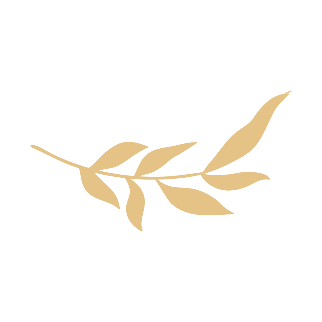 Idéon Création - Graphisme : identité visuelle réalisée pour Atelier Ligne 31